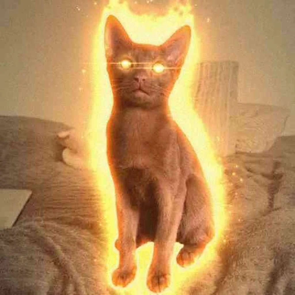 chocot, a chocolate-brown cat, sitting on a bed with a huge orange aura and glowing eyes